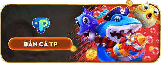 Hướng dẫn cá cược cơ bản cho người mới